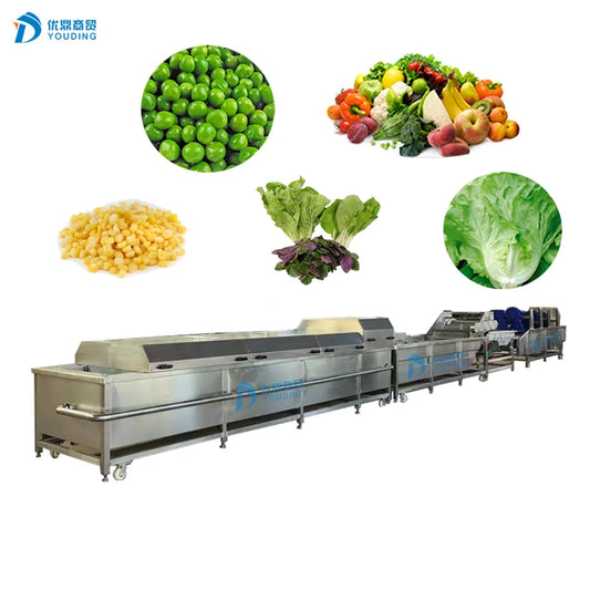 Industrial Food Machine Blanching Processing Line