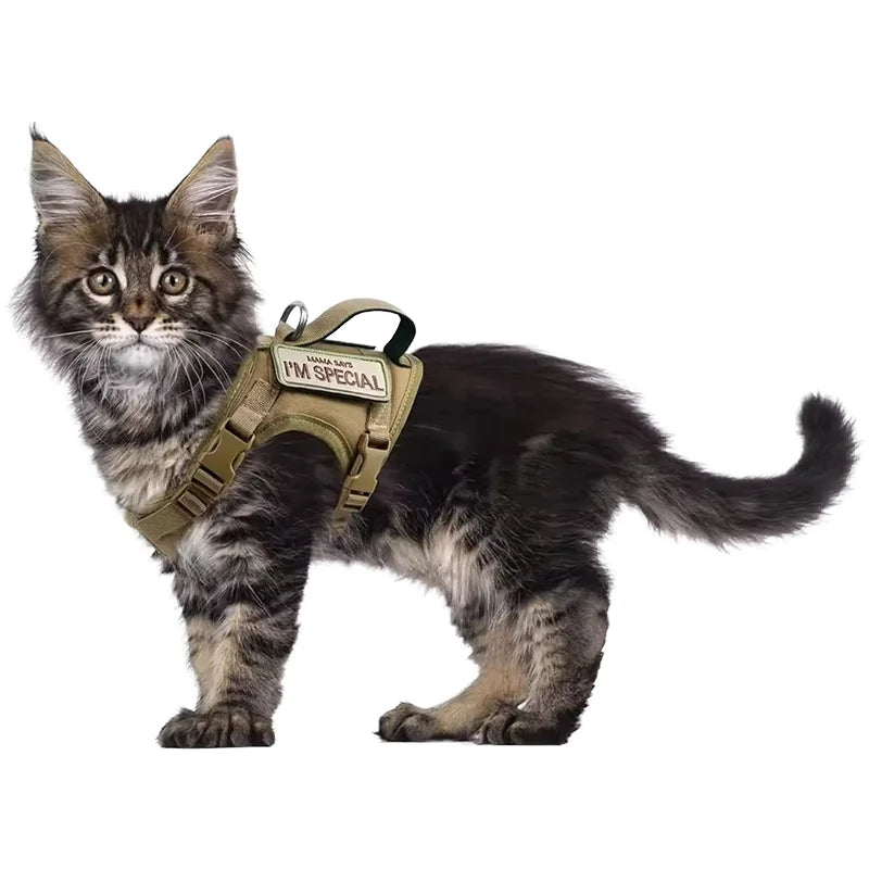 Hot Sale Tactical Small Cat Harness Custom Logo - Escape Proof Adjustable No Pull for Walking