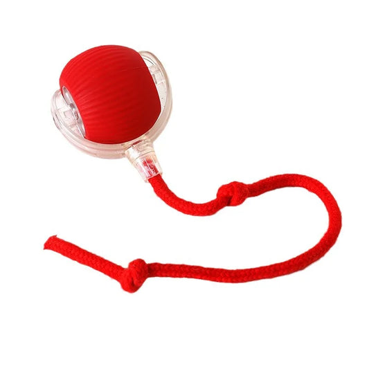 Electric Pet Rolling Ball Interactive Active Dog Cat Toy Easy Charging Cat Toy