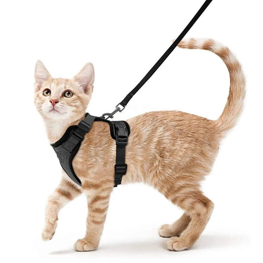 Custom Adjustable Cat Harness Set Breathe Freely Reflective Cat Vest and Leash Set Cat Harness