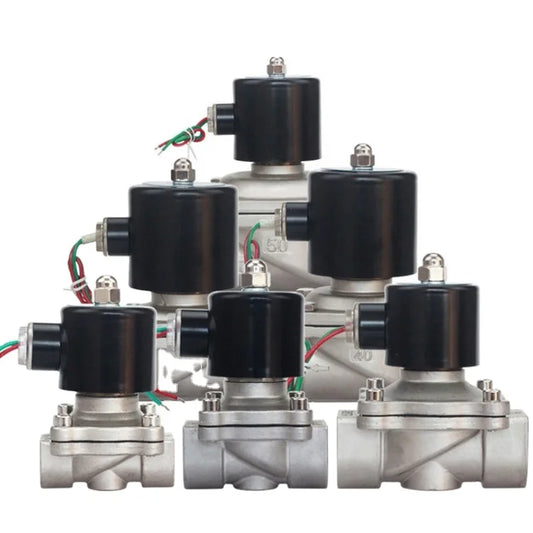 DN50 2 Inch 2W-500-50 Normally Closed Stainless Steel AC220V DC12V DC24V Direct-acting Electric Solenoid Valve Pneumatic Valve