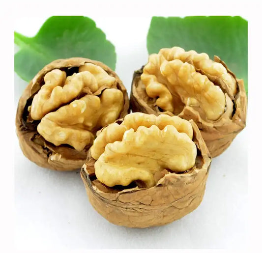 walnuts Factory Supplier  Healthy raw inshell Organic walnuts Food with Walnuts kenrel