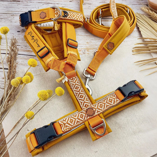 Luxury Designer Pet Vest Y-harness Boho Oem/Odm Factory No Pulling Adjustable Personalized Cat Harness Dog Collar and Leash Set