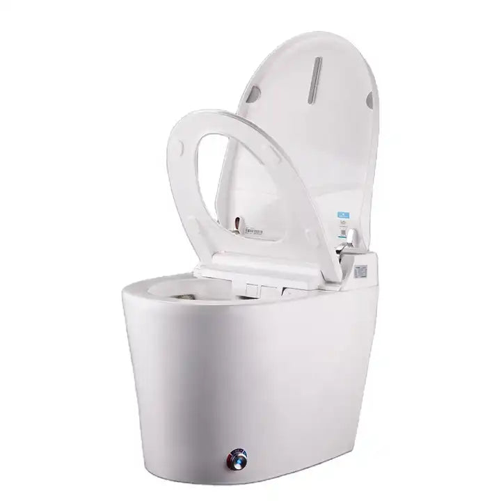 Female menstrual smart toilet clean lady cleanse sanitary ware automatic flush wc smart toilet