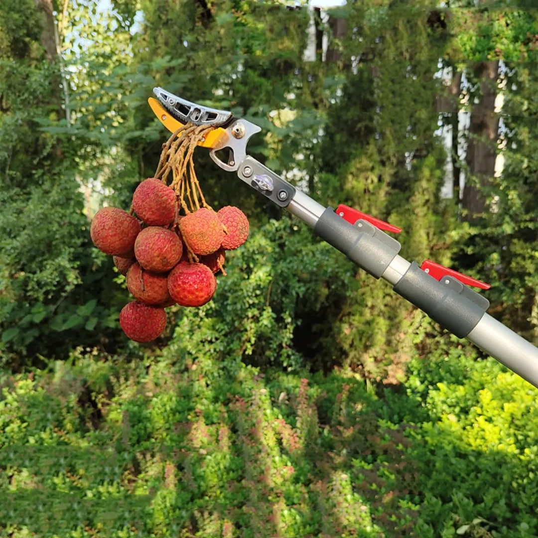 Factory Price Bypass Pruner Gardening Shears for Cutting Stems and Flowers Pruner Tree, Extendable Shears