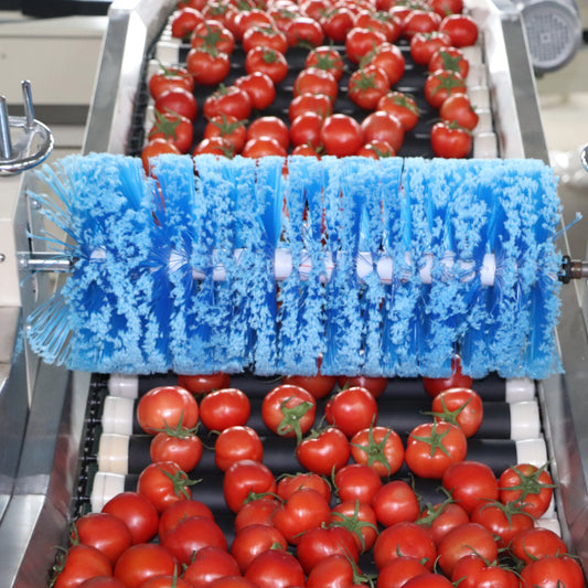 Tomato Intelligent Single-Track Sorting Machine Agricultural Equipment