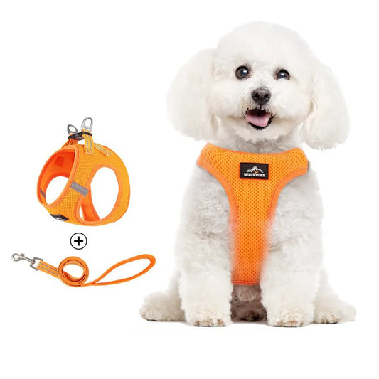 High Quality Breathable Pet Harness Mess Comfortable Pyppy Cat Chest Strap Adjustable Cat Harness