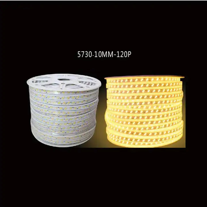 High Brightness China Manufacturer Supply 10mm Positive Double Rows Strip Lights