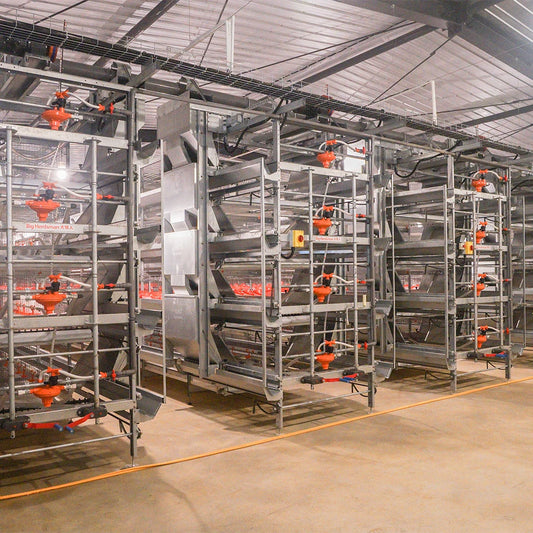 Made Poultry Farm Steel Broiler Chicken Shed Poultry Farm Fans Broiler Chicken Coop Broiler Cage Equipment Feeding