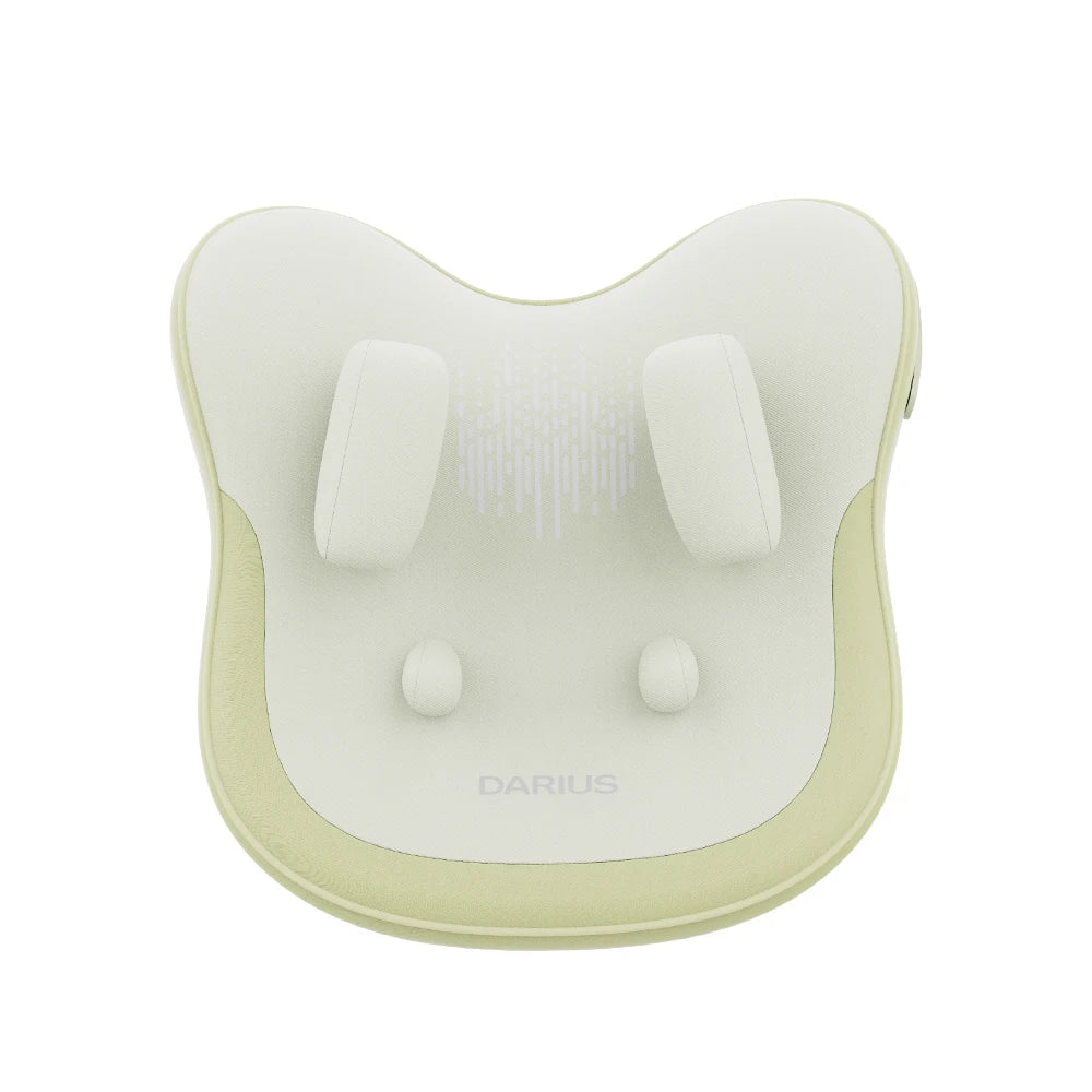 DARIUS Rechargeable Back and Neck Massage Cushion with Heating Function and Multi-purpose Full Body Massage