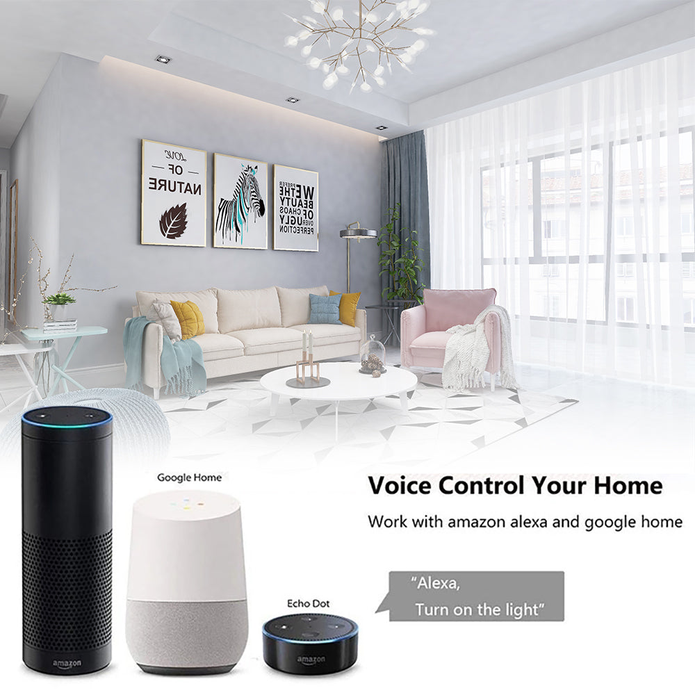 US Smart Home Products Tuya Smart Wall Switch Wifi Light Switches and Socket 110V 220V Remote Control Work with Alexa