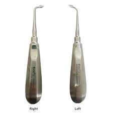 Root Elevator Bernard Left Eptber7 Dental Instruments