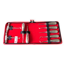 Import 9-Piece Stainless Steel Dental Root Elevator Set with Ergonomic Handles and Storage Case