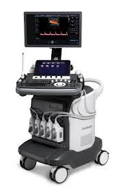 Import S50 Elite Color Doppler Ultrasound System with C1-6 Probes