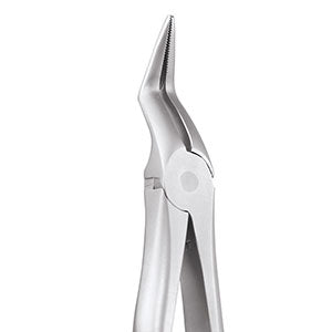 Import TWEEZER MARIAM DP318 - Precision Stainless Steel Dental Instrument, 6-Inch