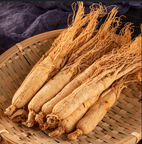 GINSENG ROOTS