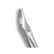 Import Dental Tooth Extraction Forceps - Stainless Steel FX89S