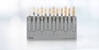 Vita Toothguide 3Dmaster Dental Shade Guide