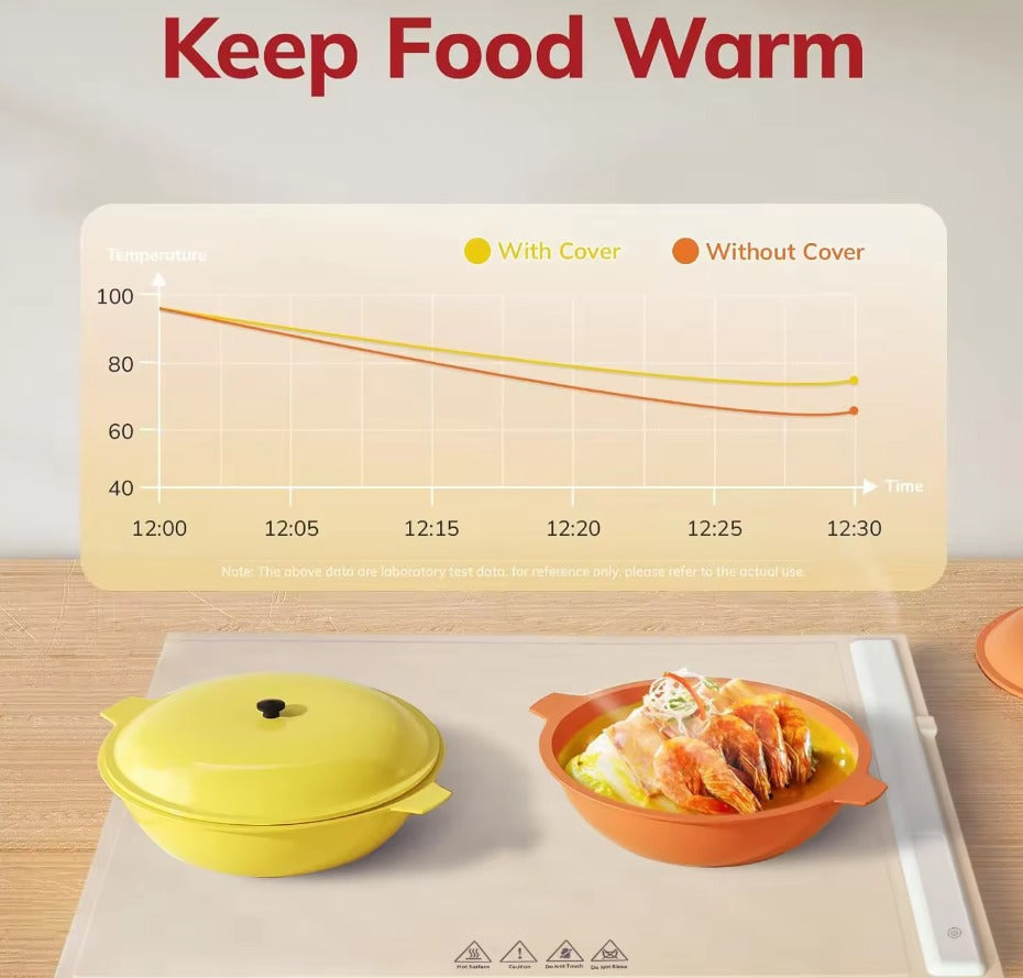 Food Warmer silicon plate