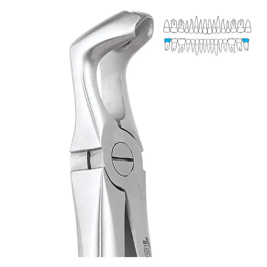 Import Stainless Steel Root Elevator Cryer EA30 - Ergonomic Dental Instrument