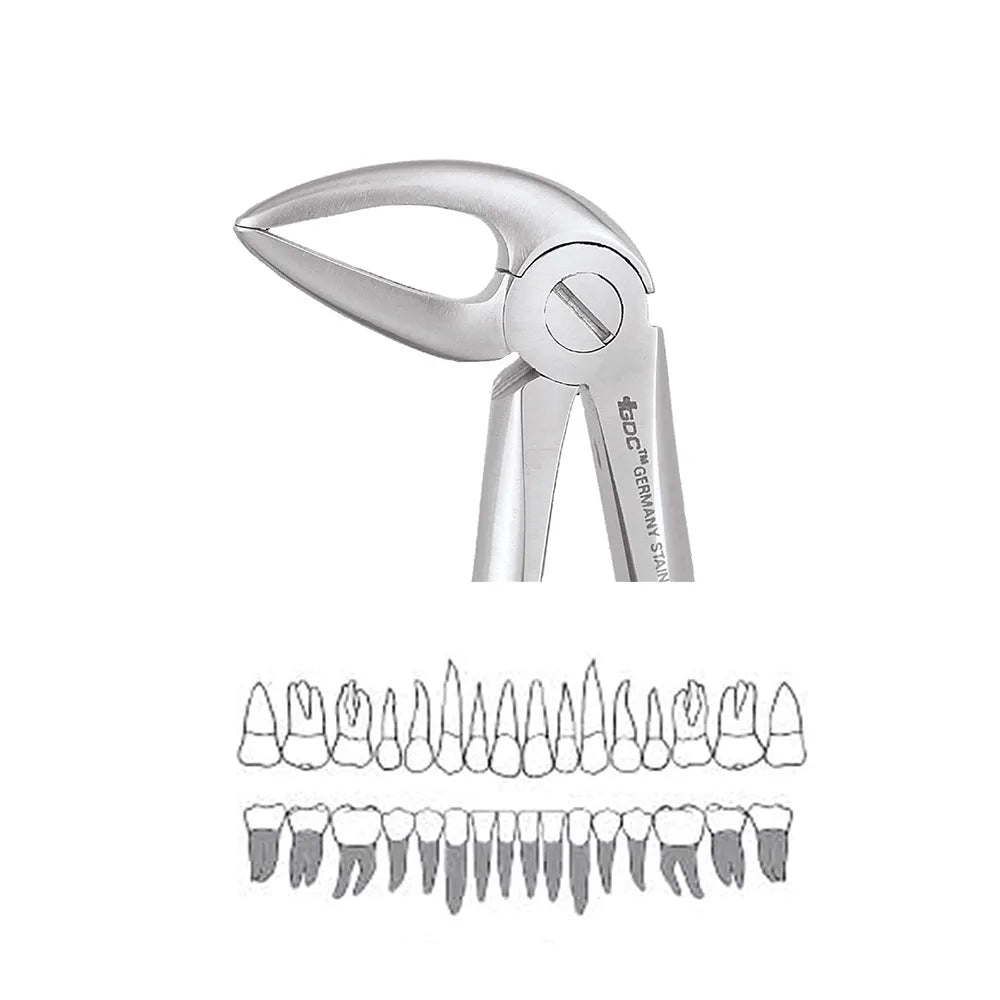 Import V2LD Dental Ultrasonic Scaler - Powerful, Adjustable, Compact Design