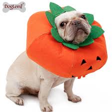 DogLemi Halloween, Christmas Catalogue