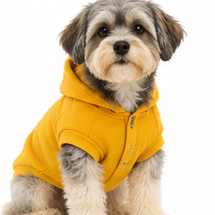 Pet Apparels