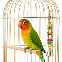 Bird Supplies
