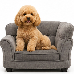 Pet Furnitures