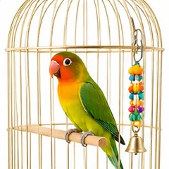 Bird Supplies